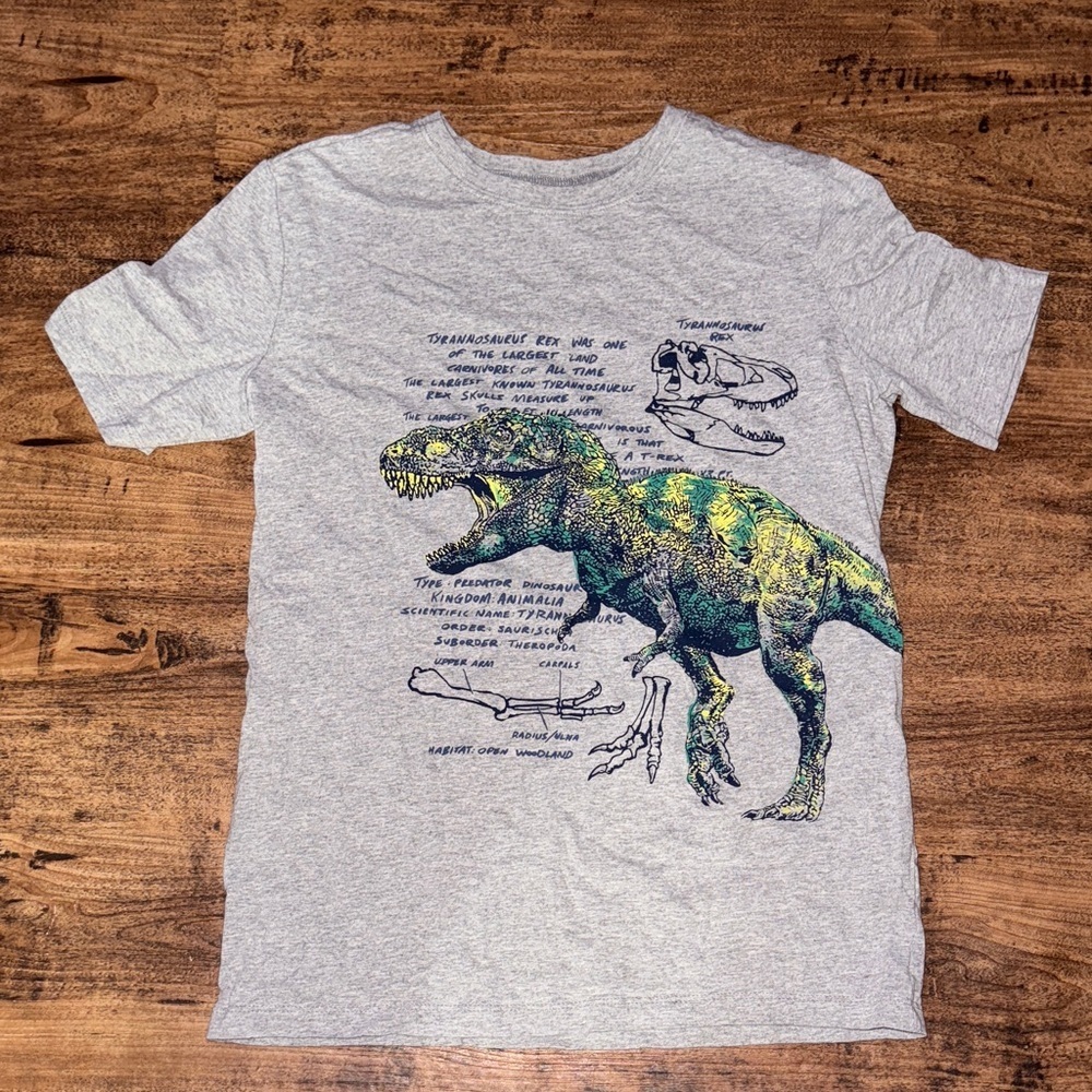 Carter's Gray T-Shirt with Dinosaur Design